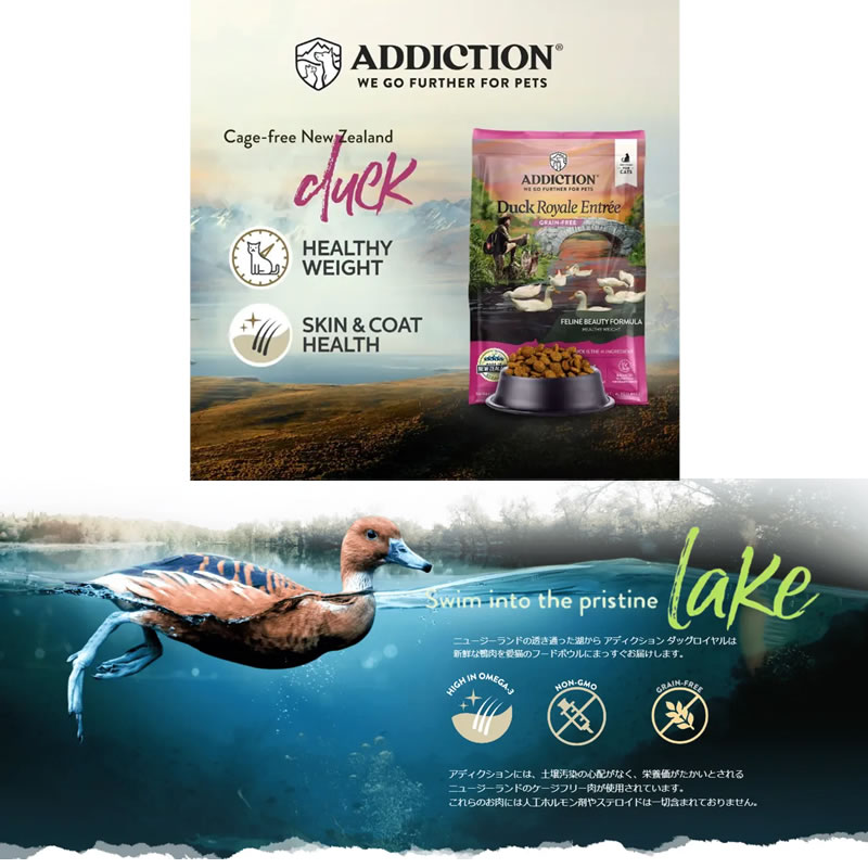 ���ǥ�������� ����å�  ���å�������� 300g