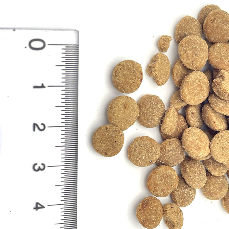 ���ǥ�������� ����å�  ���å�������� 300g