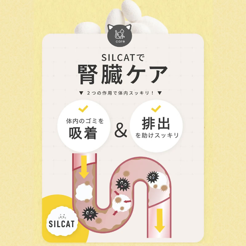 �ڤ��ޤ������դ��ۡڥͥ��ݥ����� ����̵���� SILCAT ���륭��å� 3g��30��