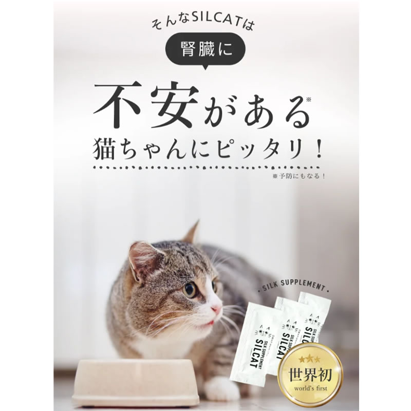 �ڤ��ޤ������դ��ۡڥͥ��ݥ����� ����̵���� SILCAT ���륭��å� 3g��30��