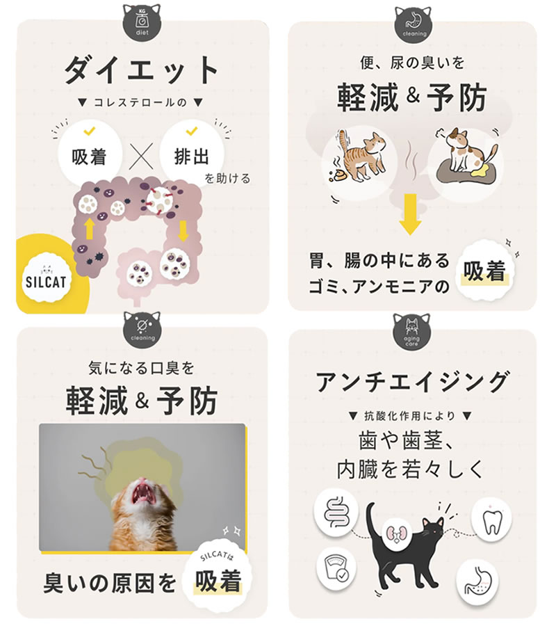 �ڤ��ޤ������դ��ۡڥͥ��ݥ����� ����̵���� SILCAT ���륭��å� 3g��30��