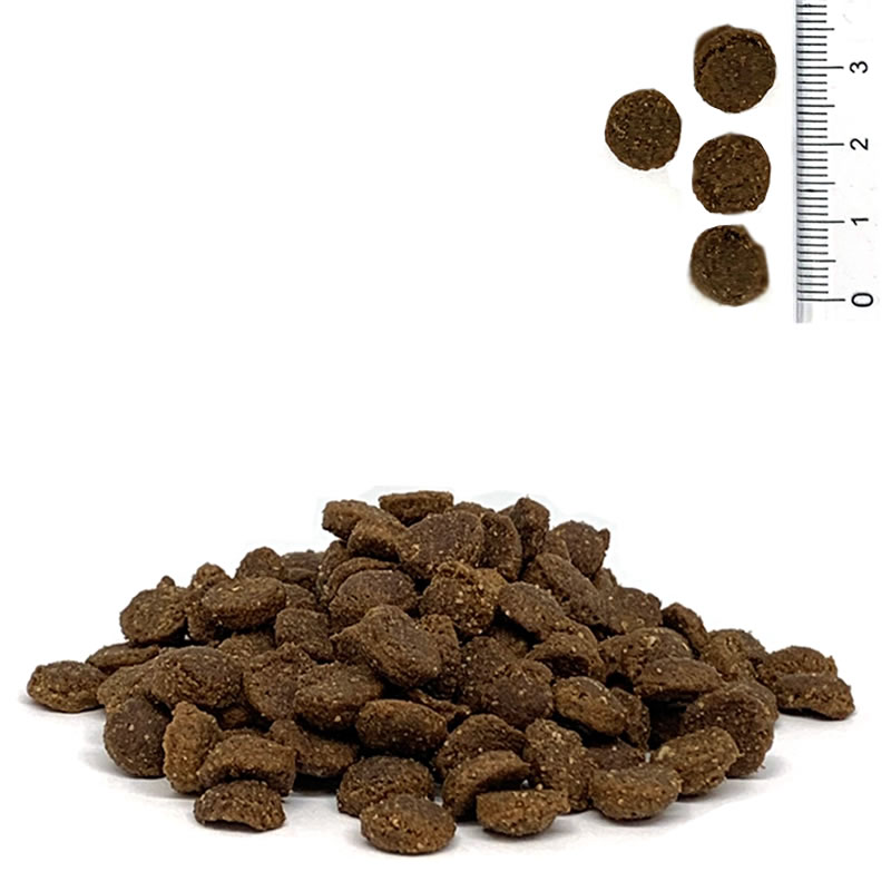 �ͥ����㡼���ƥ����� ��������������� For Cats 200g �ʿ��̸����ʡ�