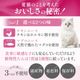 Cherie �����꡼ ������ࡼ�� ��ǭ�� 80g