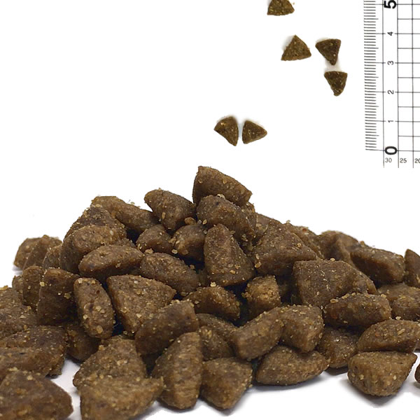 ۥꥹƥå쥻ԡ塼 EC-12 ǭ 1.6kg