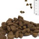 ۥꥹƥå쥻ԡ塼 EC-12 ǭ 1.6kg