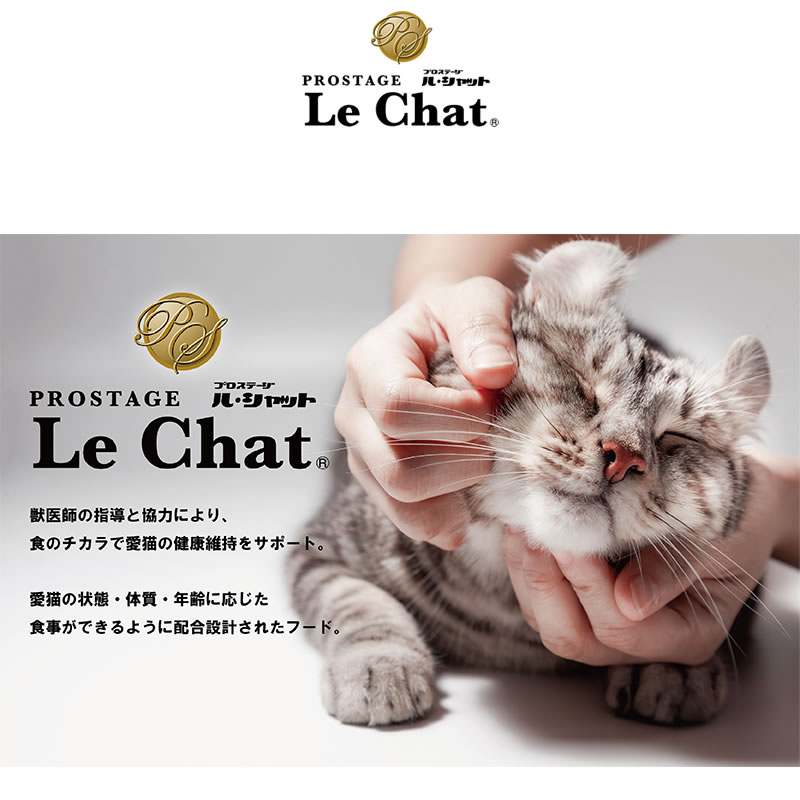 �ץ����ơ��� �롦����å� ��¡�η򹯤���θ 400g