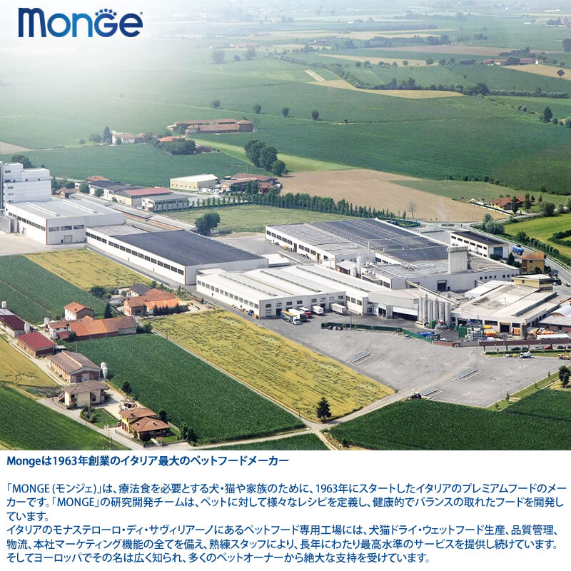 monge ��󥸥� ��å����� ������ �إ��ܡ��� 400g