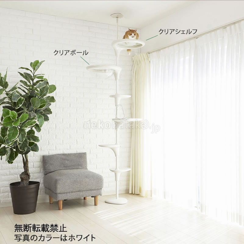 �ڼ�󤻡� OPPO ClearBowl ���ꥢ�ܡ��� �ۥ磻��