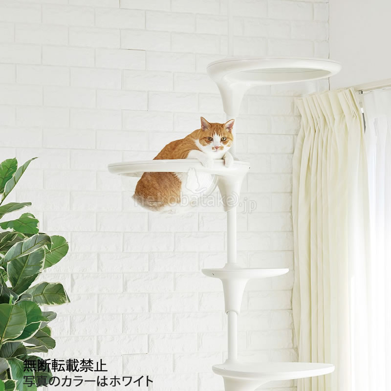 �ڼ�󤻡� OPPO ClearBowl ���ꥢ�ܡ��� �ۥ磻��