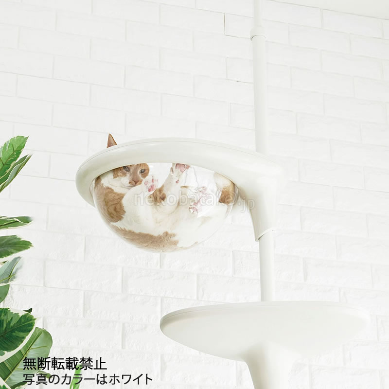 �ڼ�󤻡� OPPO ClearBowl ���ꥢ�ܡ��� �ۥ磻��