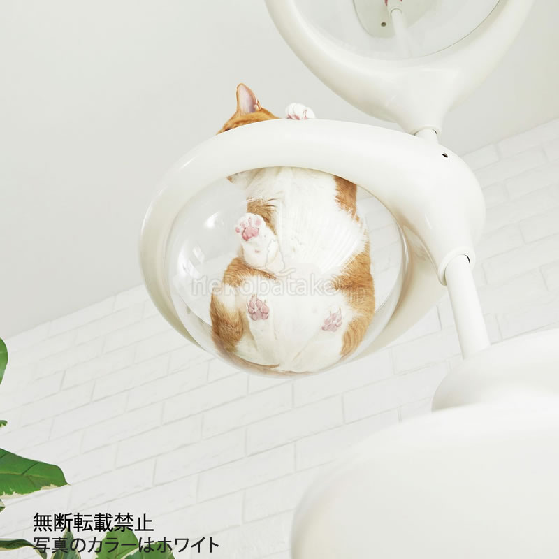 �ڼ�󤻡� OPPO ClearBowl ���ꥢ�ܡ��� �ۥ磻��