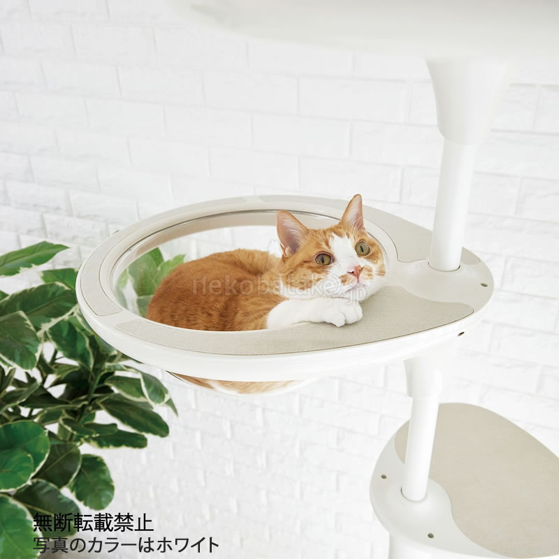 �ڼ�󤻡� OPPO ClearBowl ���ꥢ�ܡ��� �ۥ磻��