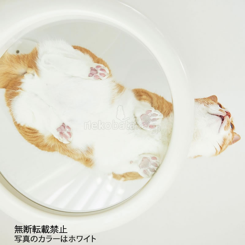 �ڼ�󤻡� OPPO ClearBowl ���ꥢ�ܡ��� �ۥ磻��