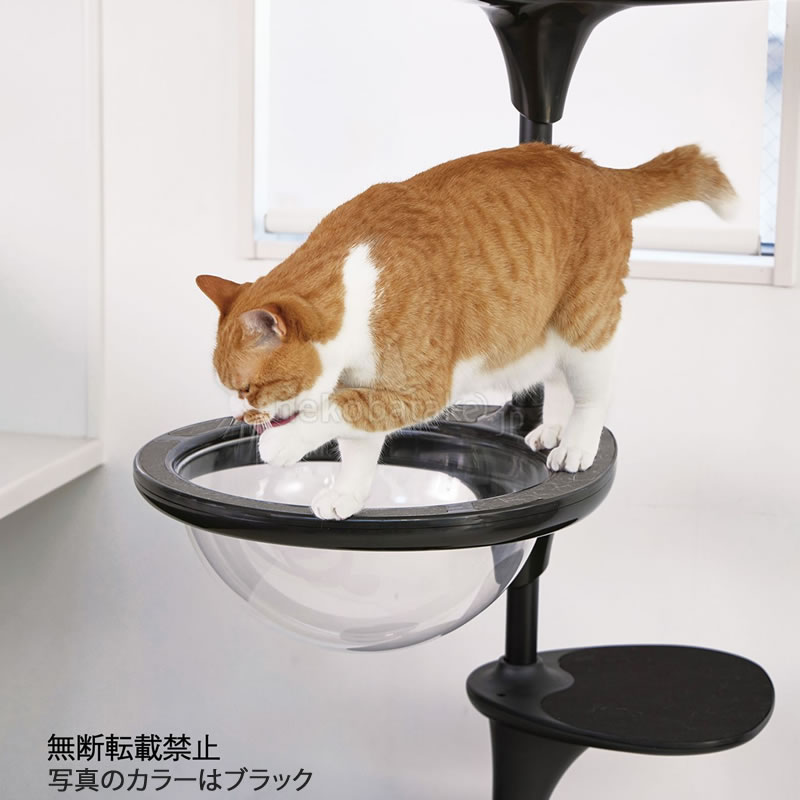 �ڼ�󤻡� OPPO ClearBowl ���ꥢ�ܡ��� �֥�å�