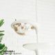 �ڼ�󤻡� OPPO ClearBowl ���ꥢ�ܡ��� �֥�å�