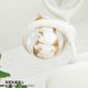 �ڼ�󤻡� OPPO ClearBowl ���ꥢ�ܡ��� �֥�å�