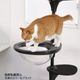 �ڼ�󤻡� OPPO ClearBowl ���ꥢ�ܡ��� �֥�å�