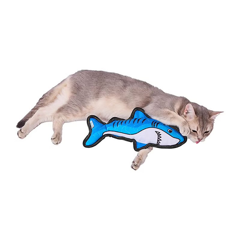 ���ɥᥤ�� ��ǭ��� ���ꤰ��� �����������㡼��