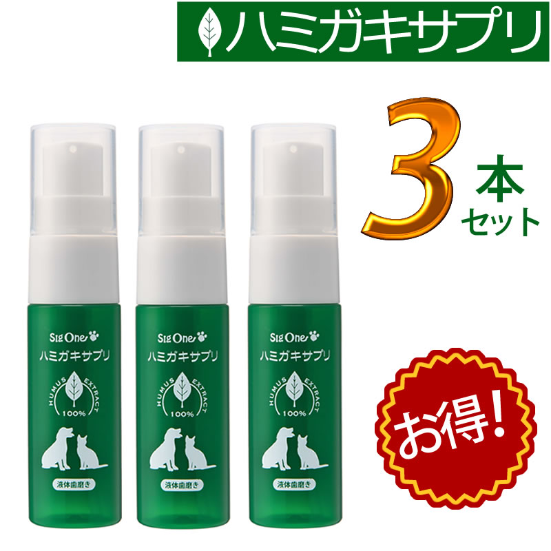 �ǥ󥿥륱�� ������� �ϥߥ������ץ� 3�ܥ��å�