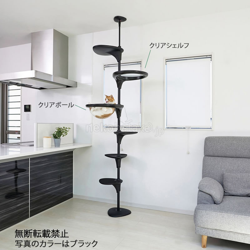 �ڼ�󤻡� OPPO ClearShelf ���ꥢ������� �ۥ磻�� 