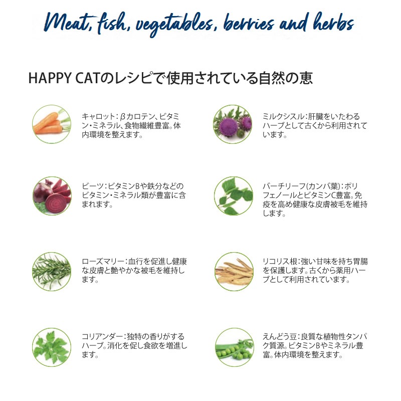 �ϥåԡ�����å� ������ �� ������ 1.3kg