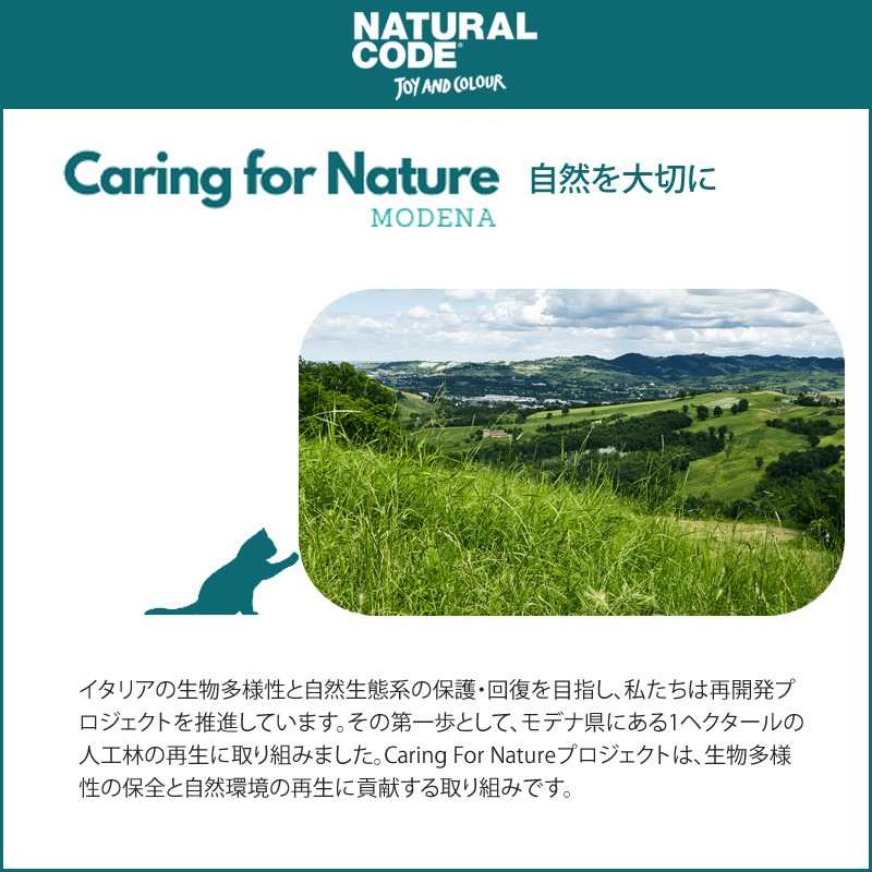 �ʥ����륳���� �ѥ��� P1 ������ 70g