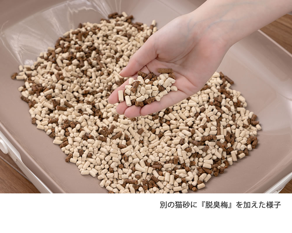 ڥåȤæȥ캽 æ 0.5L