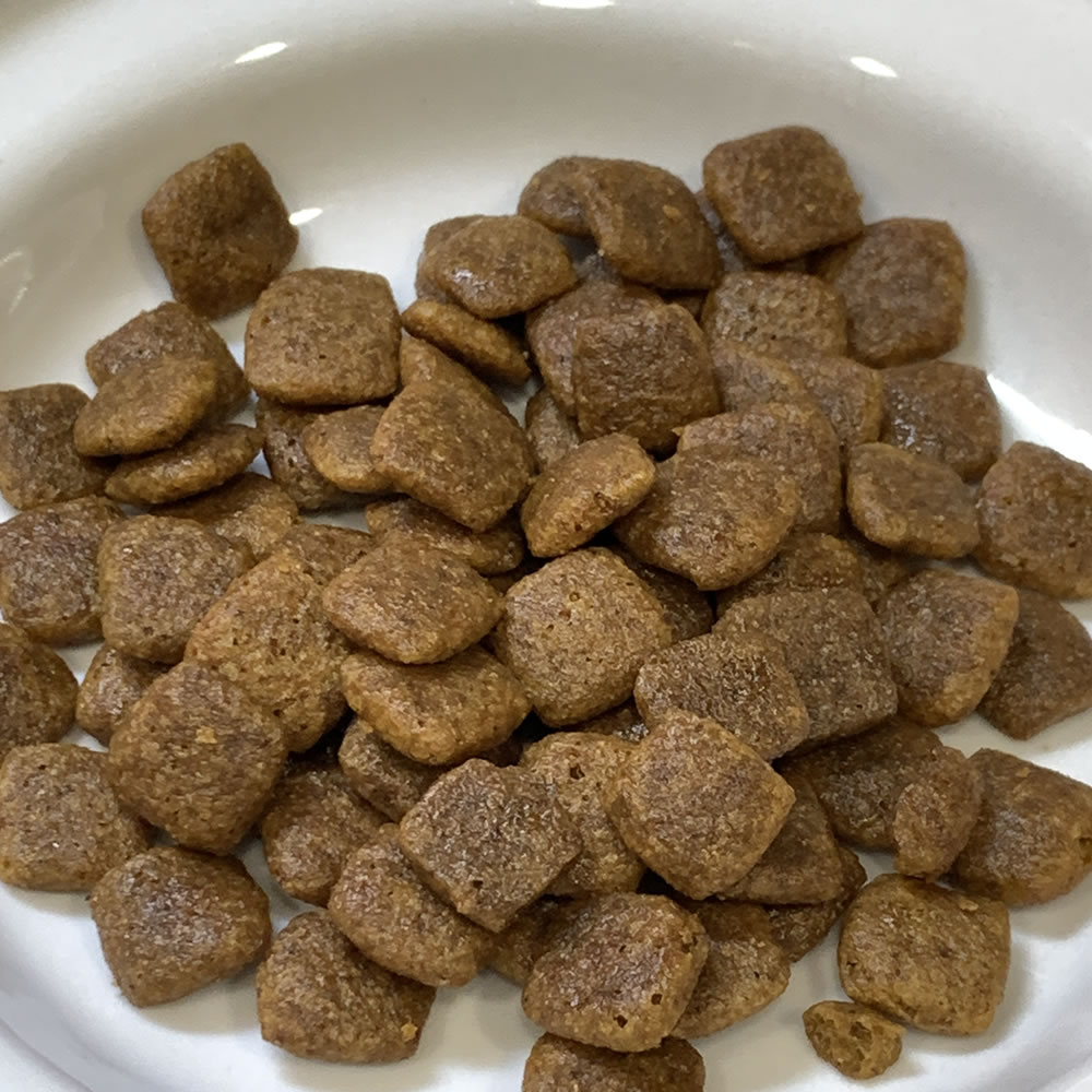 ���ȥ� ��ʥ� ���󥭥��㥹 ���� �������å� 1kg
