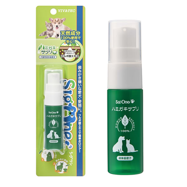 ǥ󥿥륱  ϥߥץ 6ܥå