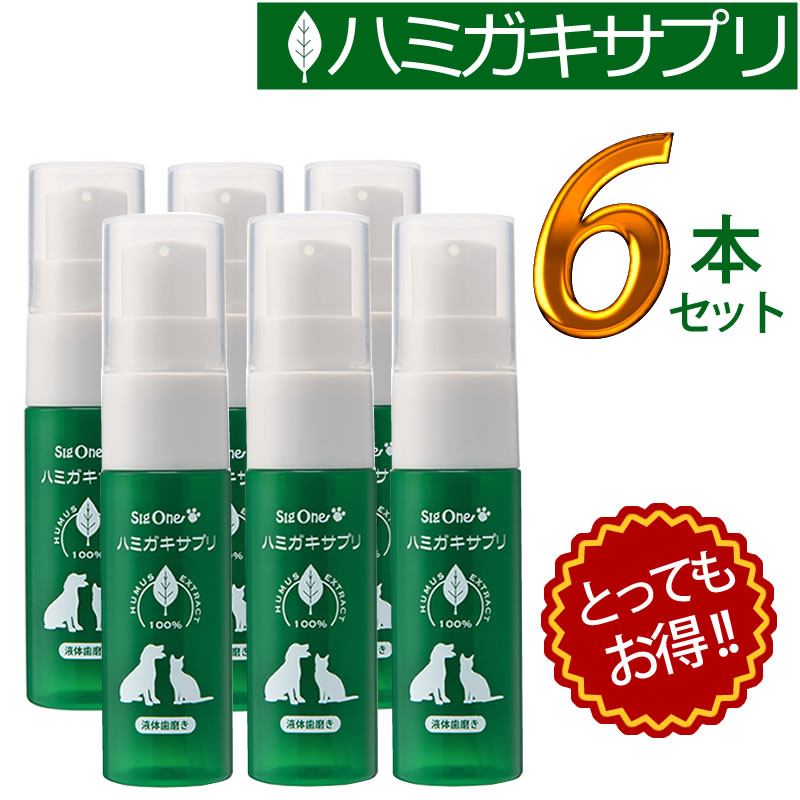 ǥ󥿥륱  ϥߥץ 6ܥå