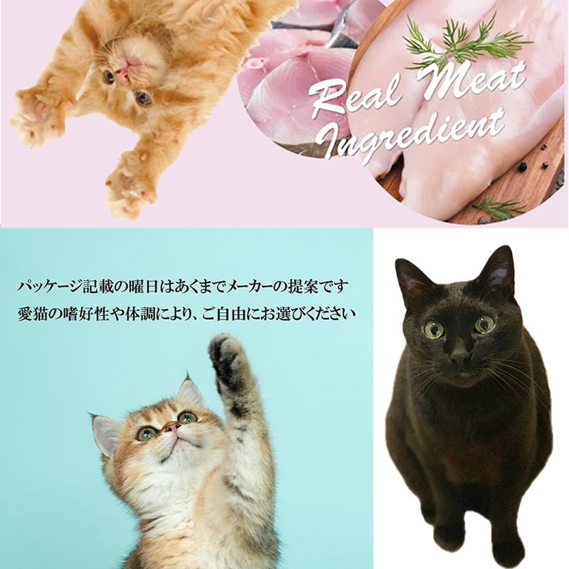 �����ͥ��㡼�� �ѥ��� �ĥʡ����ˤ��� 50g