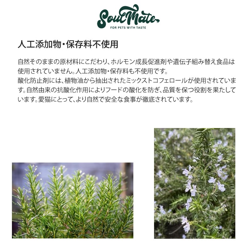 ᥤ å ե꡼ɥ饤ա ա 20g