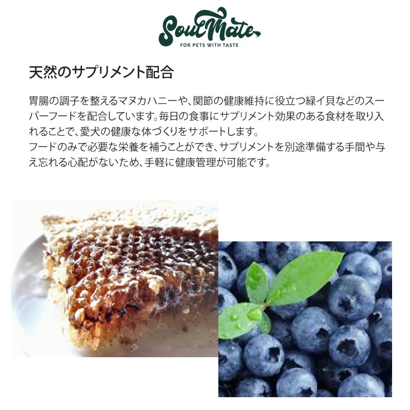 ᥤ å ե꡼ɥ饤ա ա 20g