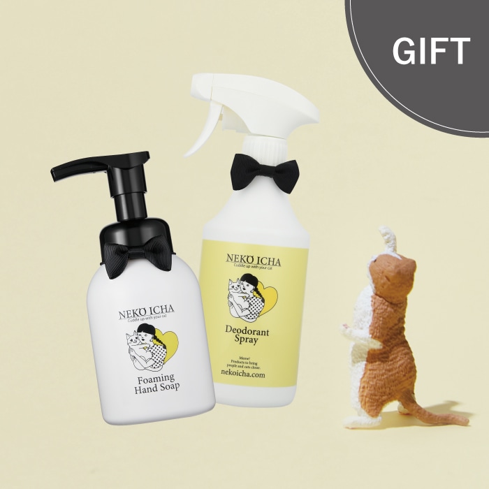 【GIFT】手もおうちもキレイセット