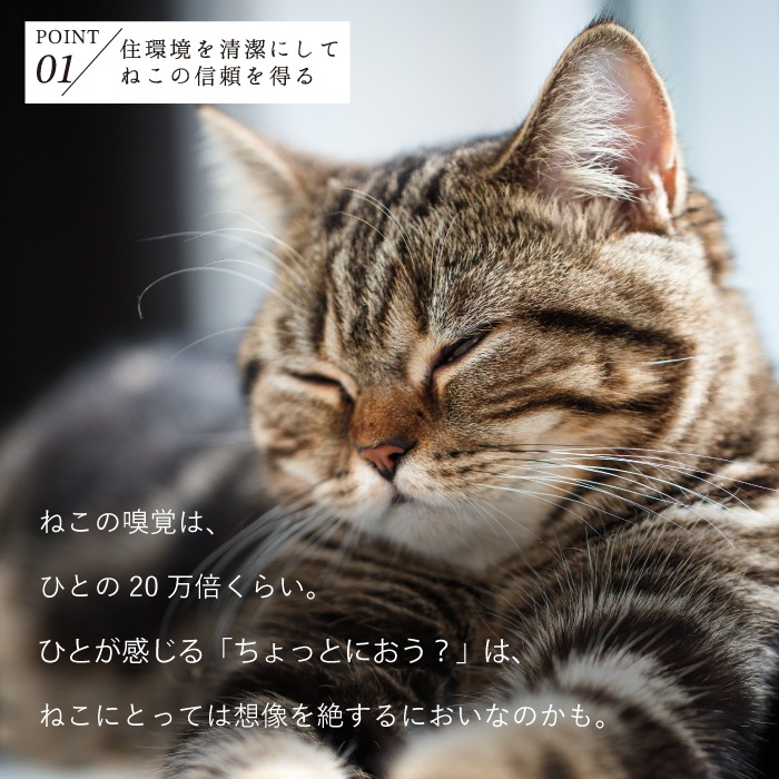 ねこいちゃ デオドラントスプレー