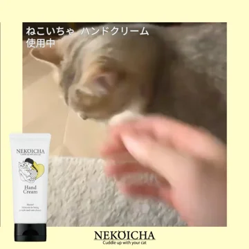 ねこいちゃ ハンドクリーム