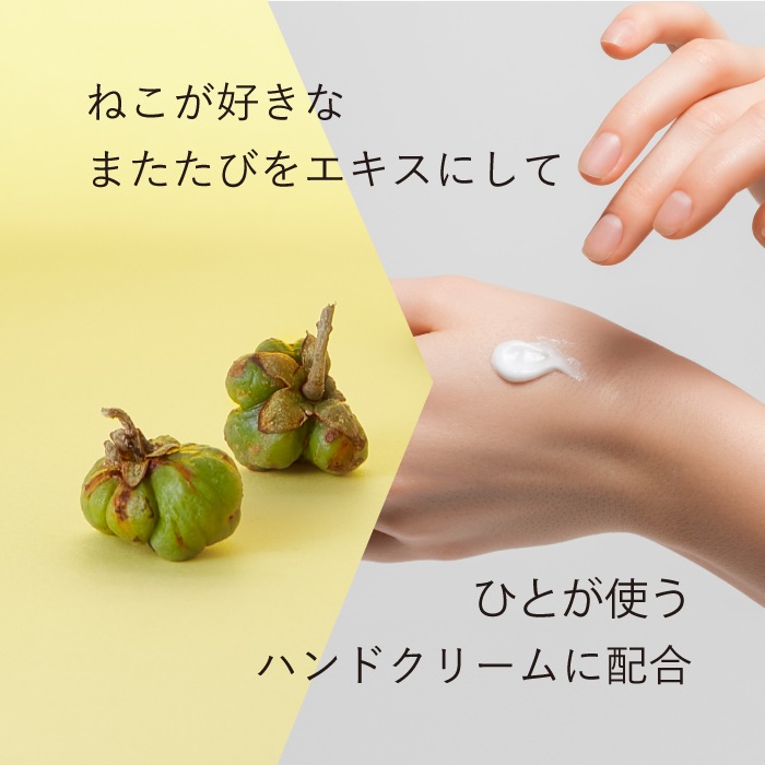 ねこいちゃ ハンドクリーム
