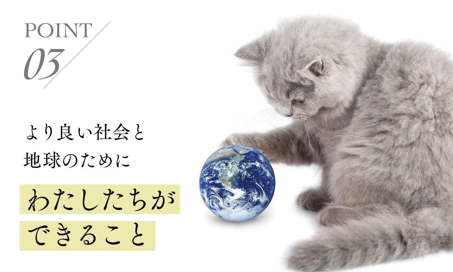 ねこいちゃ またたびパウダー 