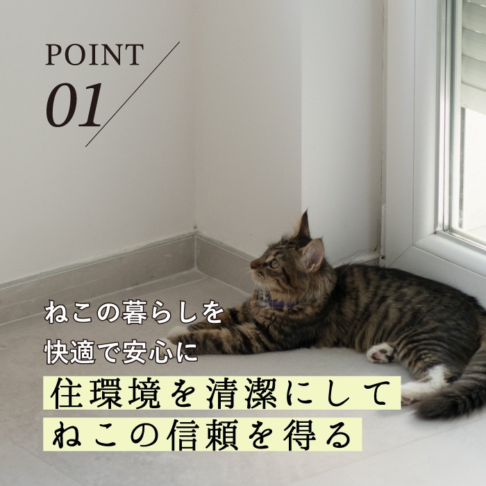 ねこいちゃ デオドラントスプレー つけかえ用