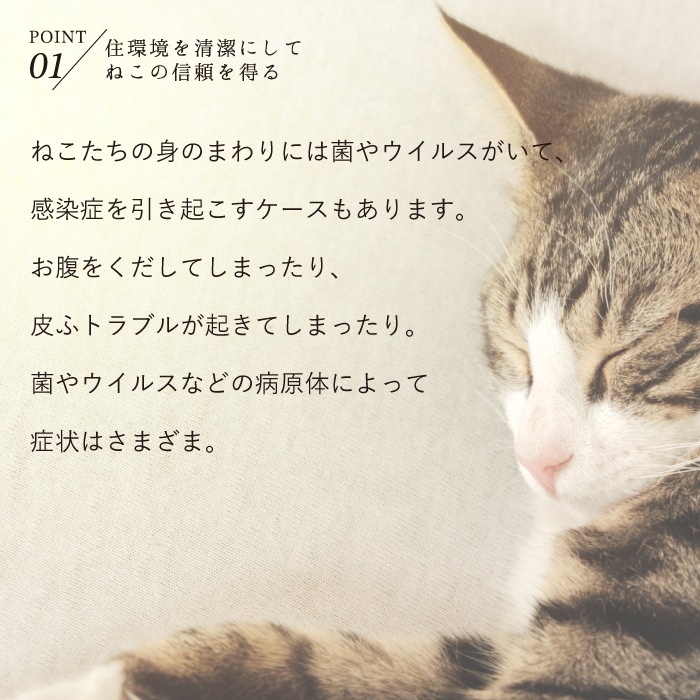 ねこいちゃ デオドラントスプレー つけかえ用