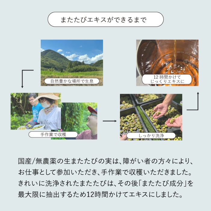 ねこいちゃ 泡ハンドソープ