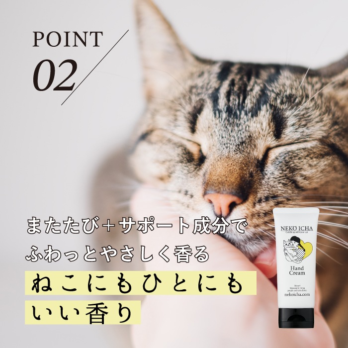 ねこいちゃ 泡ハンドソープ