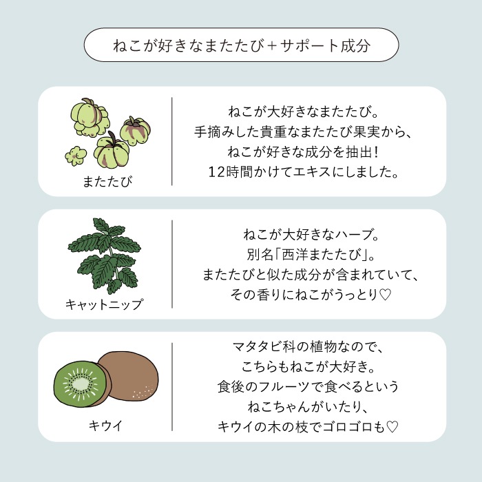 ねこいちゃ 泡ハンドソープ