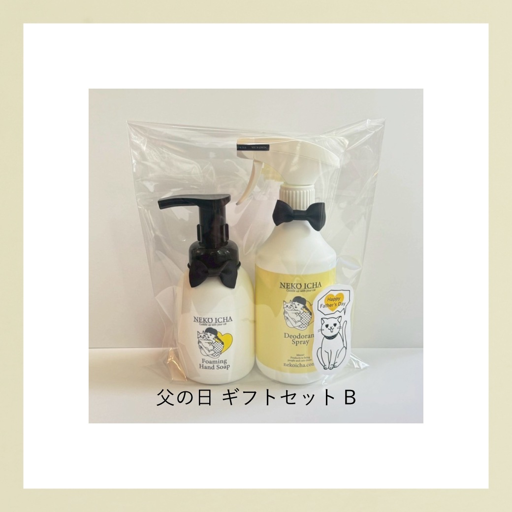 父の日ギフトセットB（贈る方にも特典つき♡）〈期間限定〉