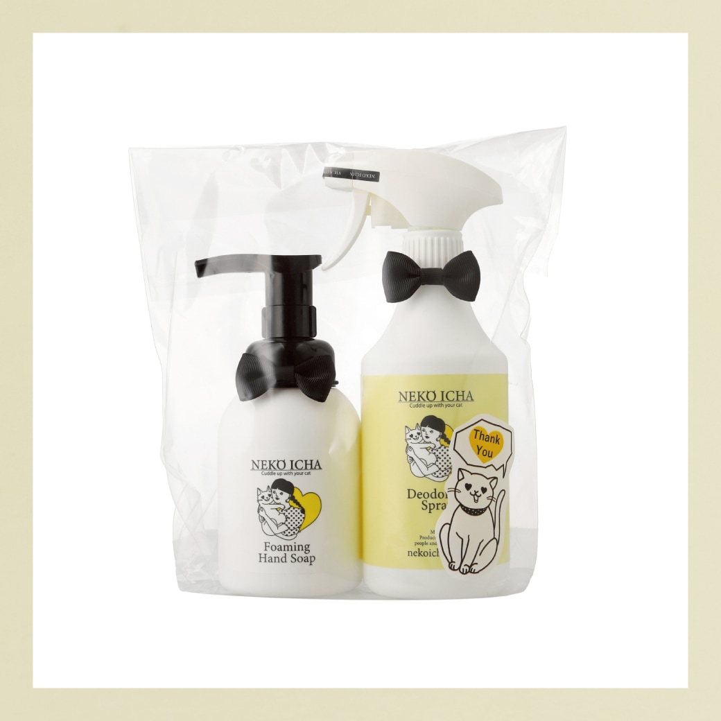 【GIFTset】手もおうちもキレイセット