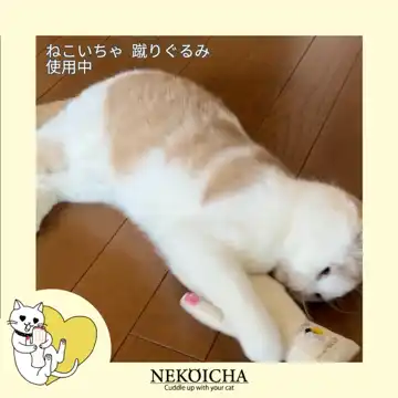 ねこいちゃ 蹴りぐるみ ハンド型（またたびブロックつき）
