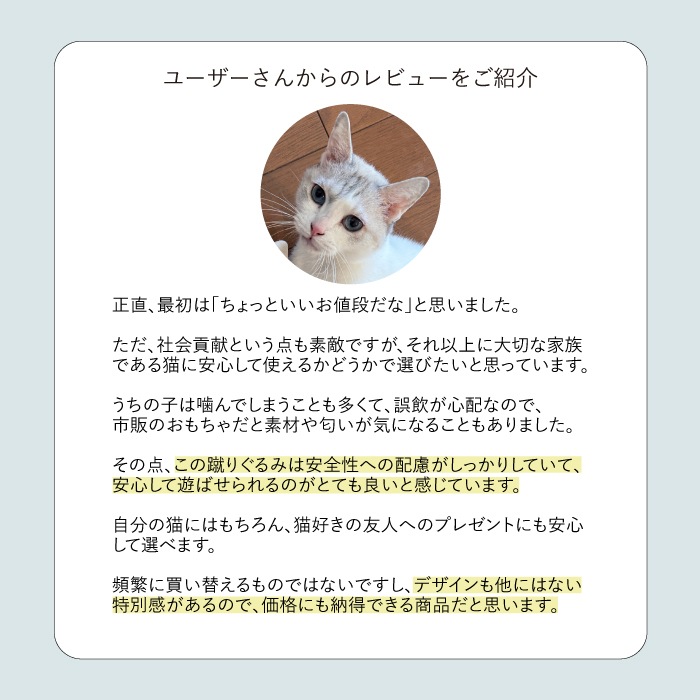 ねこいちゃ 蹴りぐるみ ハンド型（またたびブロックつき）