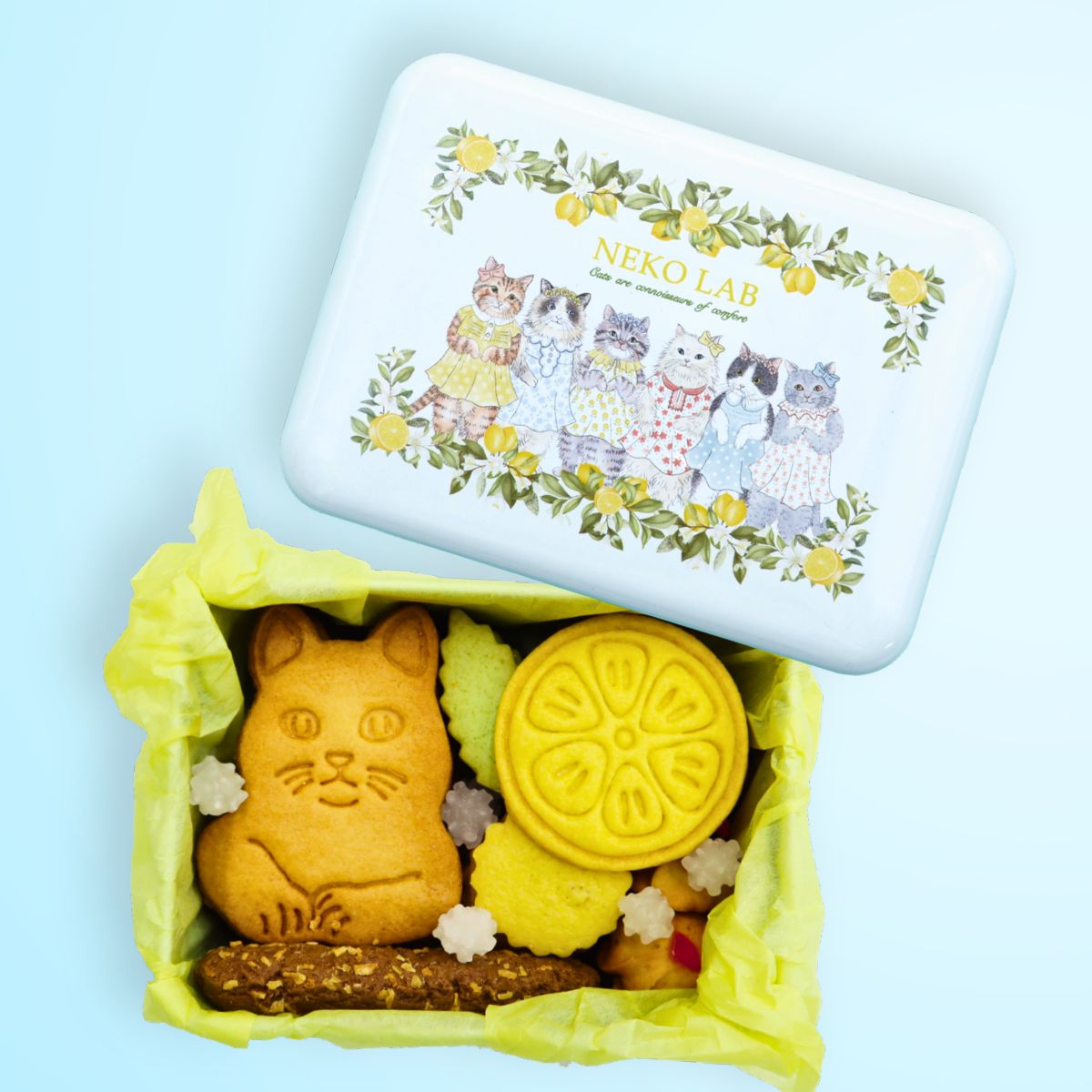 夏限定缶 2026 | クッキー缶 | NEKOLAB公式オンラインショップ