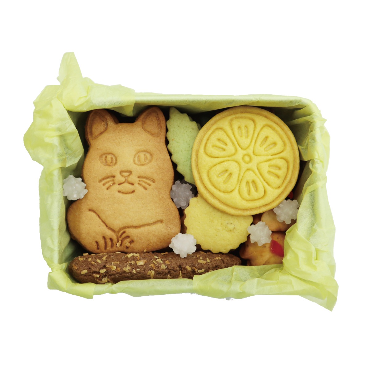 夏限定缶 2026 | クッキー缶 | NEKOLAB公式オンラインショップ