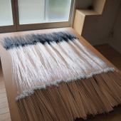 ヨロコブラの仔